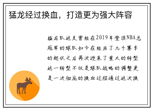 猛龙经过换血，打造更为强大阵容