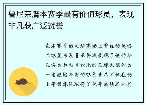 鲁尼荣膺本赛季最有价值球员，表现非凡获广泛赞誉